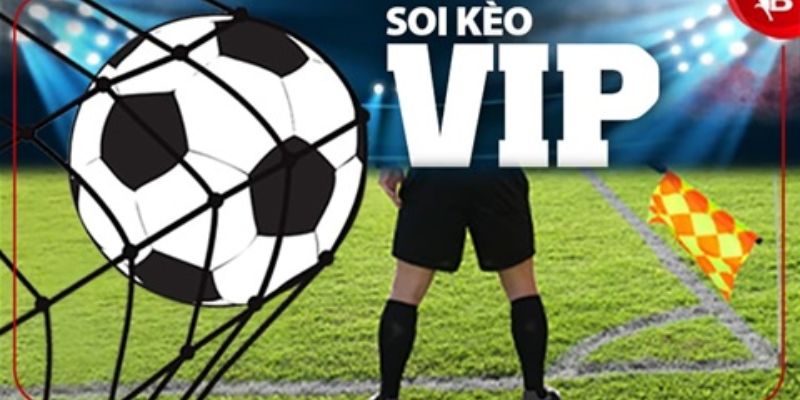 Soi kèo 79king