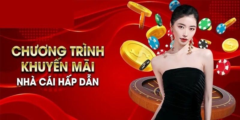 Khuyến mãi 79king