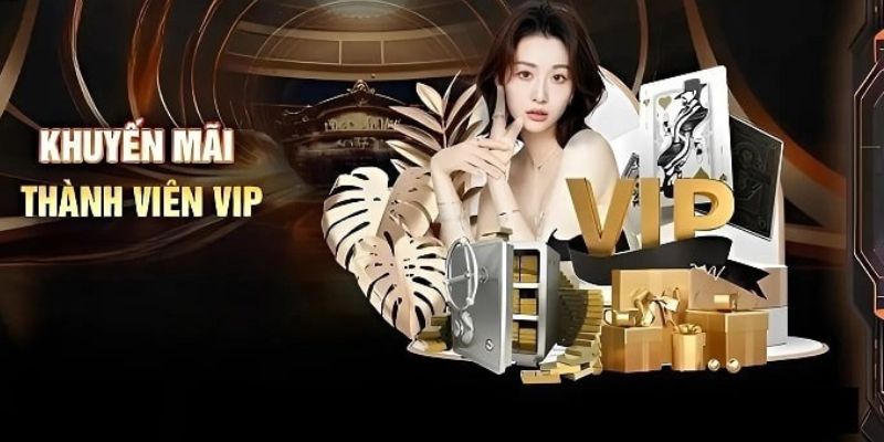 VIP 79king